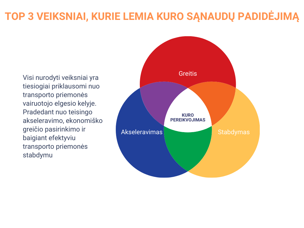 ekonominio_vairavimo_veiksniai